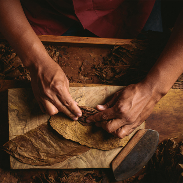 O Cigars world