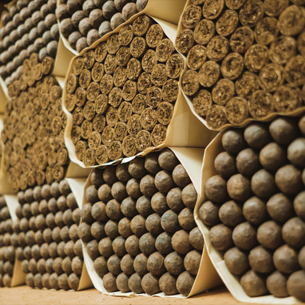 O Cigars world